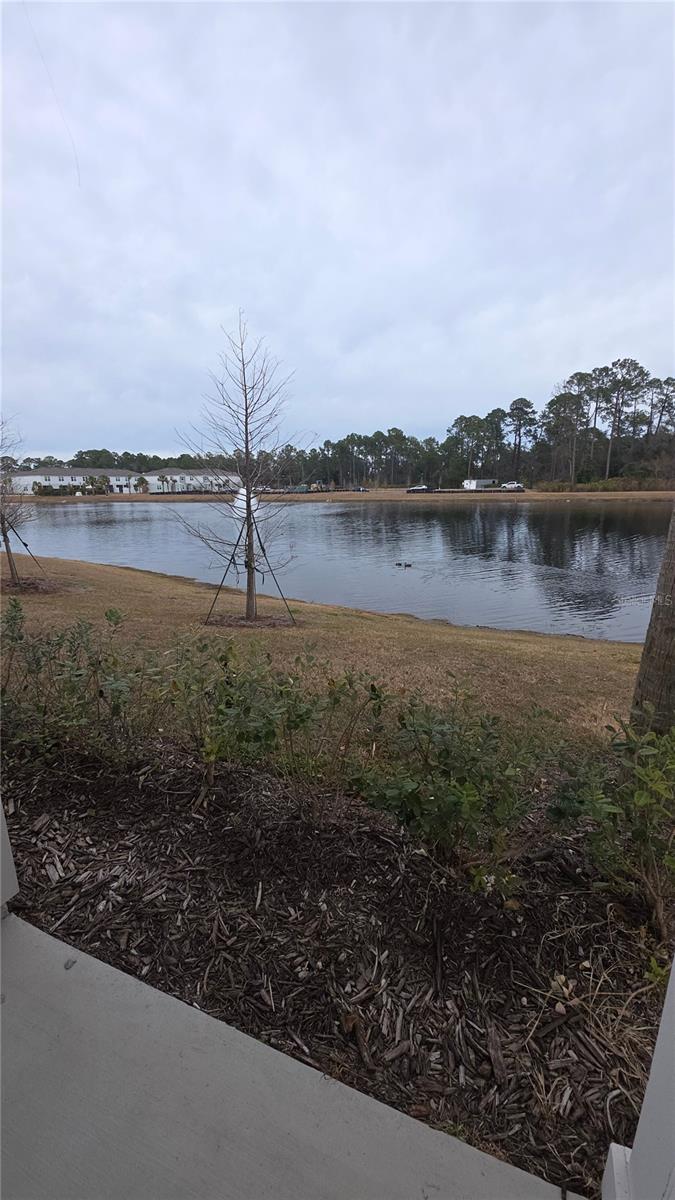 Image 30 of 33 For 56 Sage Branch Street