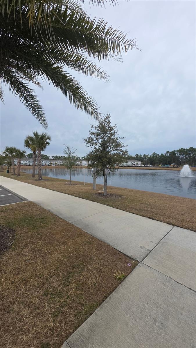 Image 31 of 33 For 56 Sage Branch Street