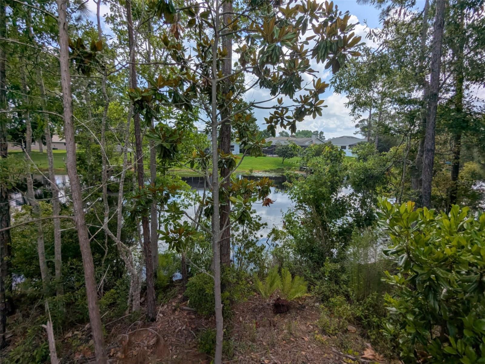 Image 34 of 75 For Address Not Provided