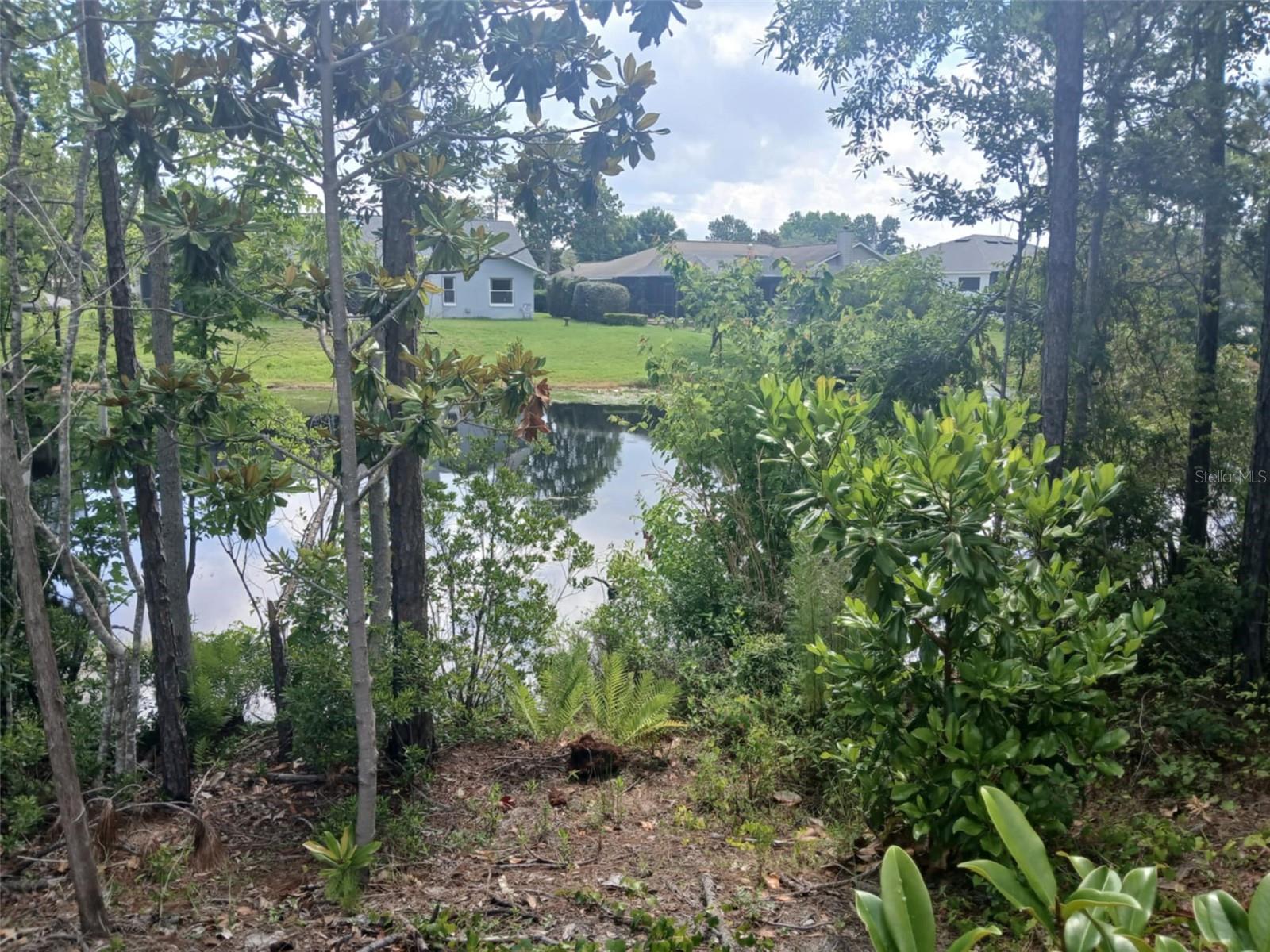 Image 40 of 75 For Address Not Provided