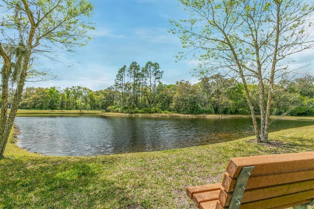 Image 3 of 48 For 121 Grand Ravine Drive 121