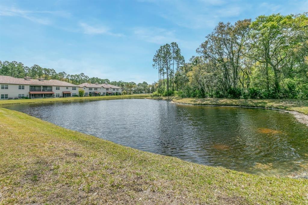 Image 41 of 48 For 121 Grand Ravine Drive 121