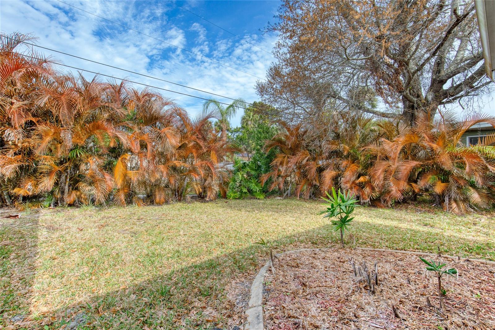 Image 49 of 68 For 19 Woodhaven Circle