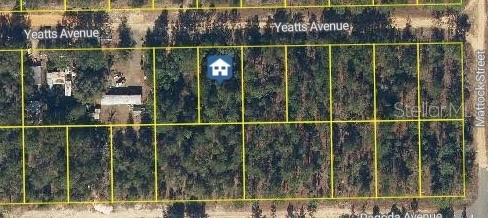 Details for 111 Yeatts Avenue, INTERLACHEN, FL 32148