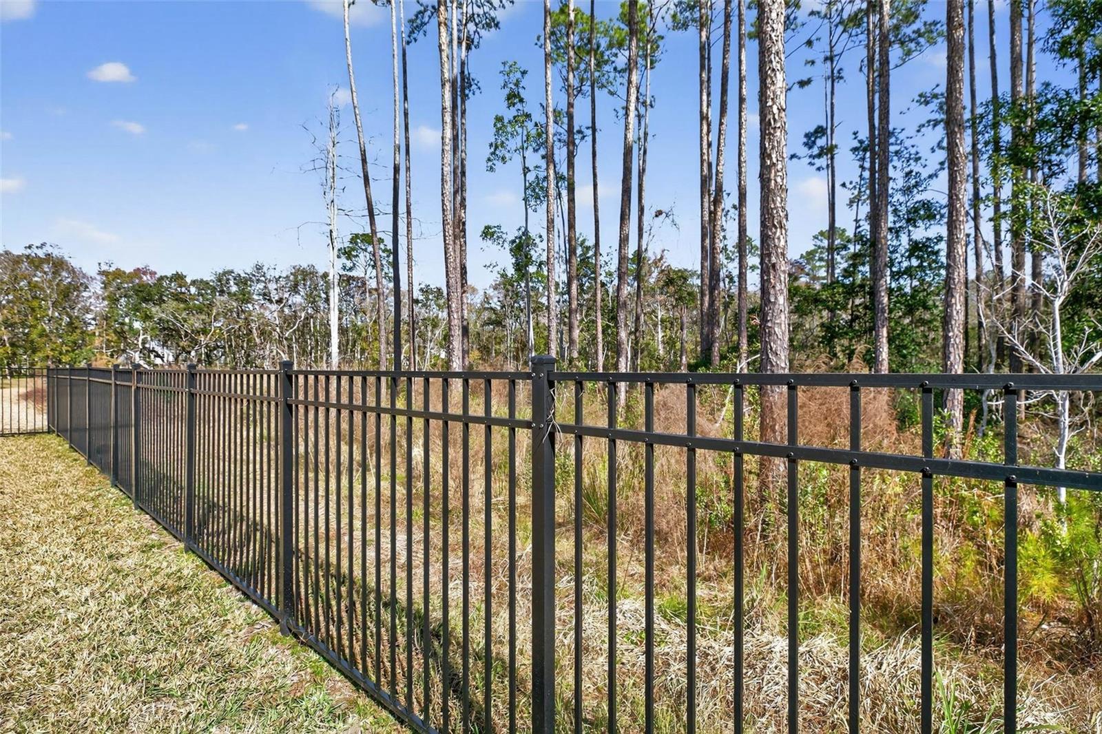 Image 49 of 53 For 177 White Rabbit Run