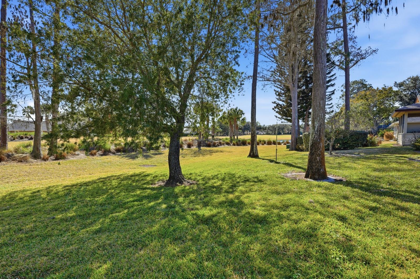 Image 38 of 60 For 38 Treetop Circle