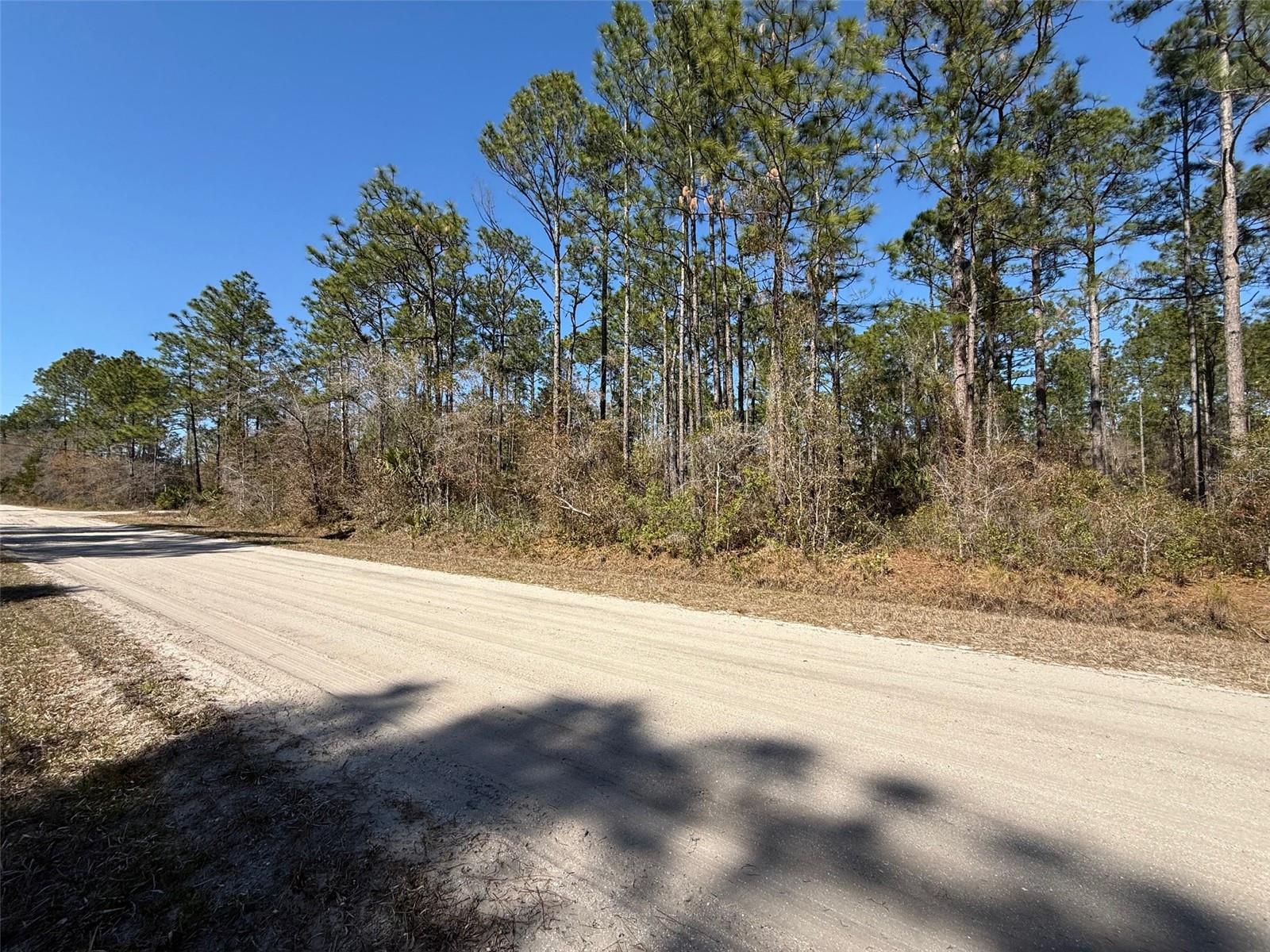 Image 2 of 6 For 4664 Clove Avenue