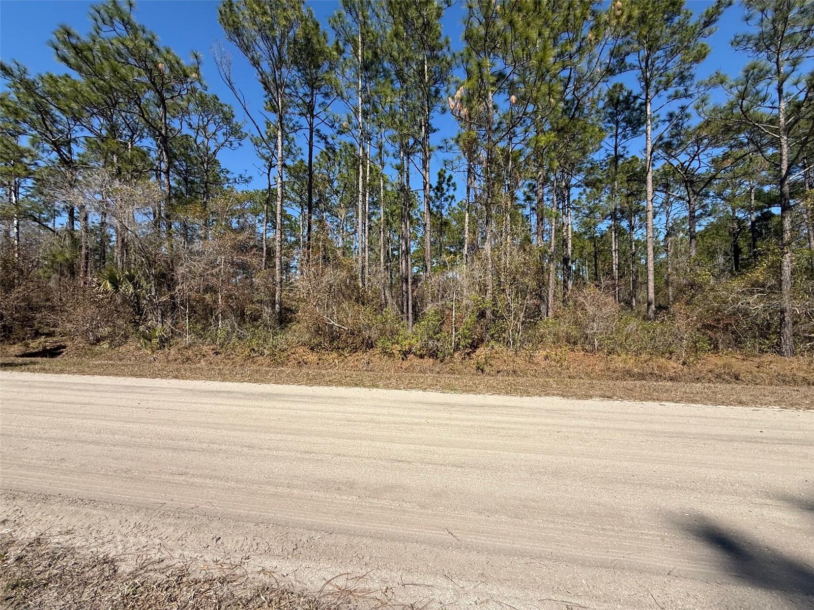 Image 4 of 6 For 4664 Clove Avenue