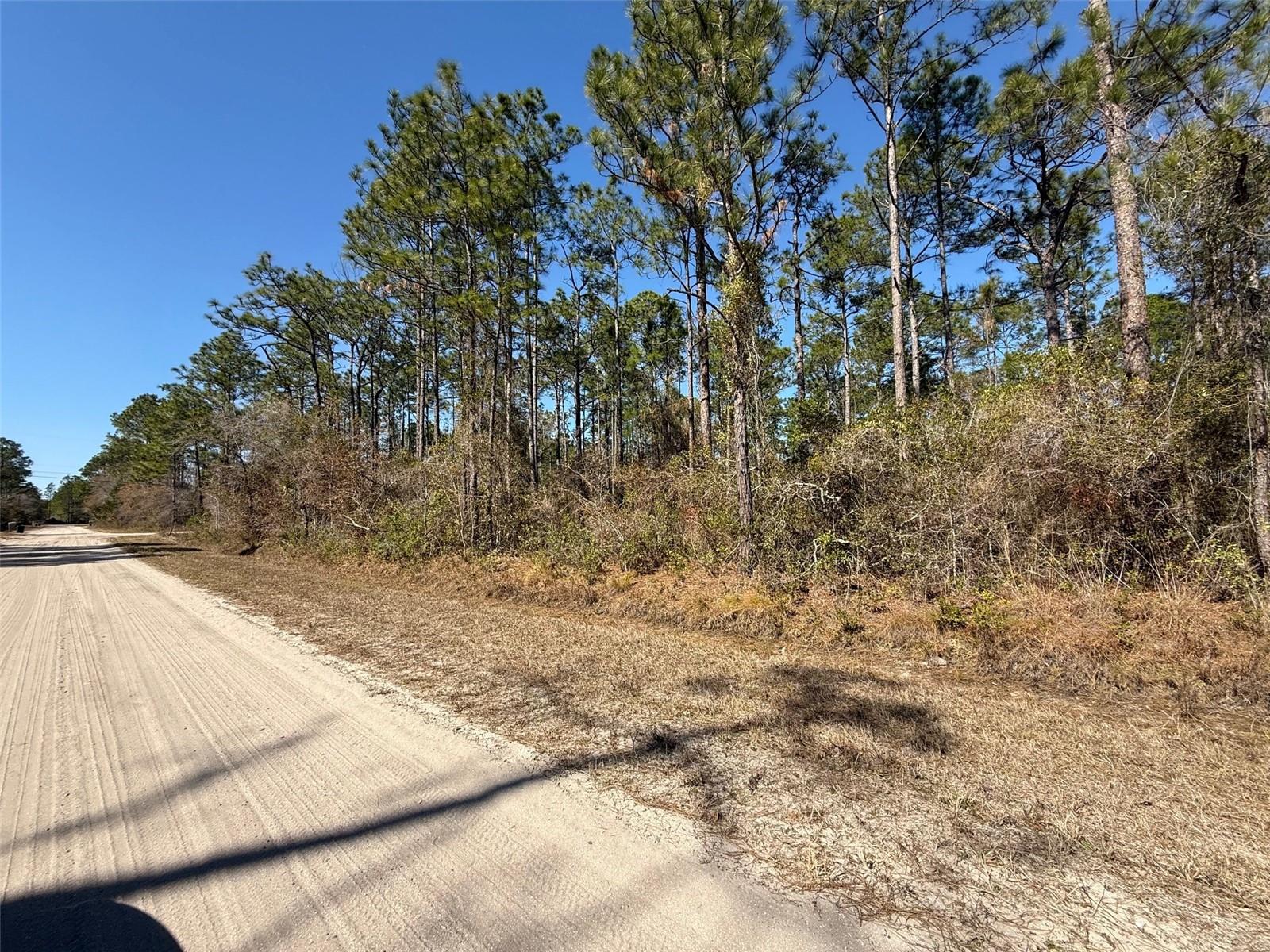 Image 5 of 6 For 4664 Clove Avenue