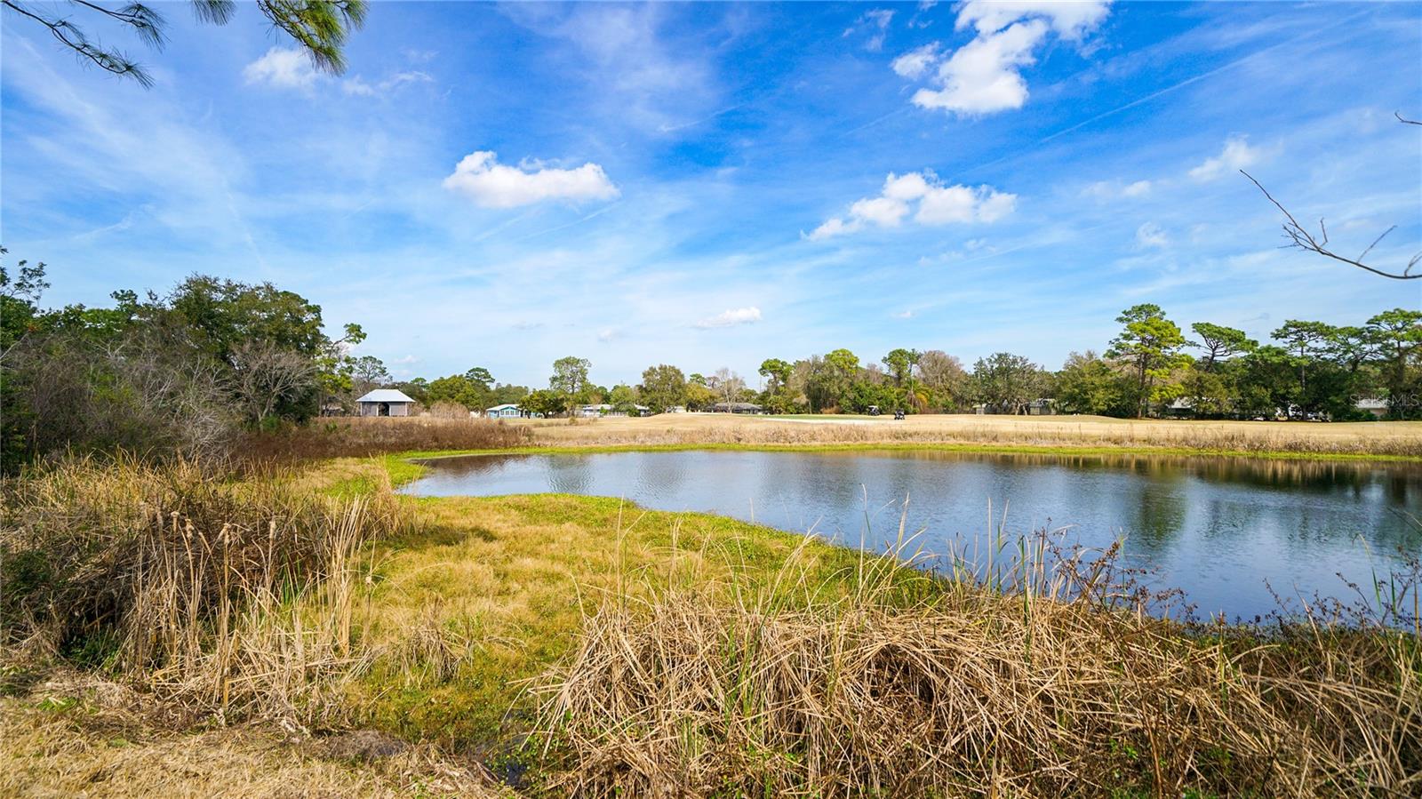 Image 42 of 53 For 705 Augusta Circle 705