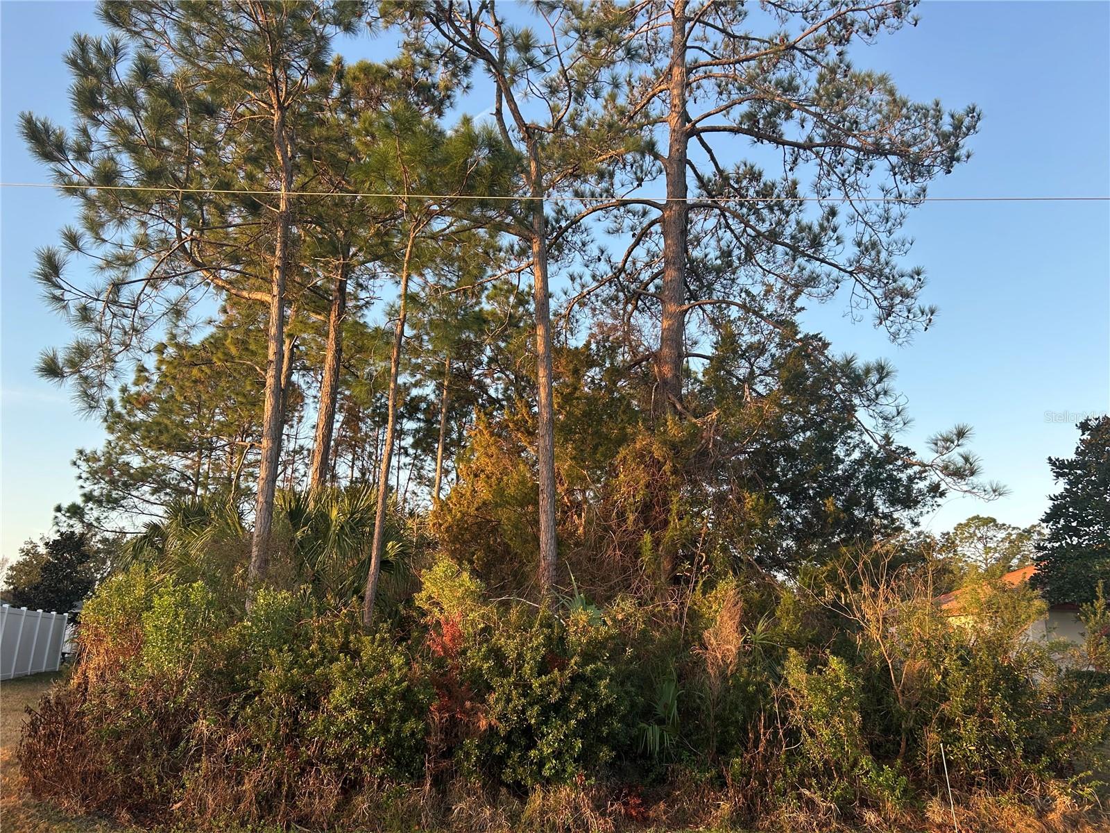 Image 2 of 4 For 4 White Hall Drive