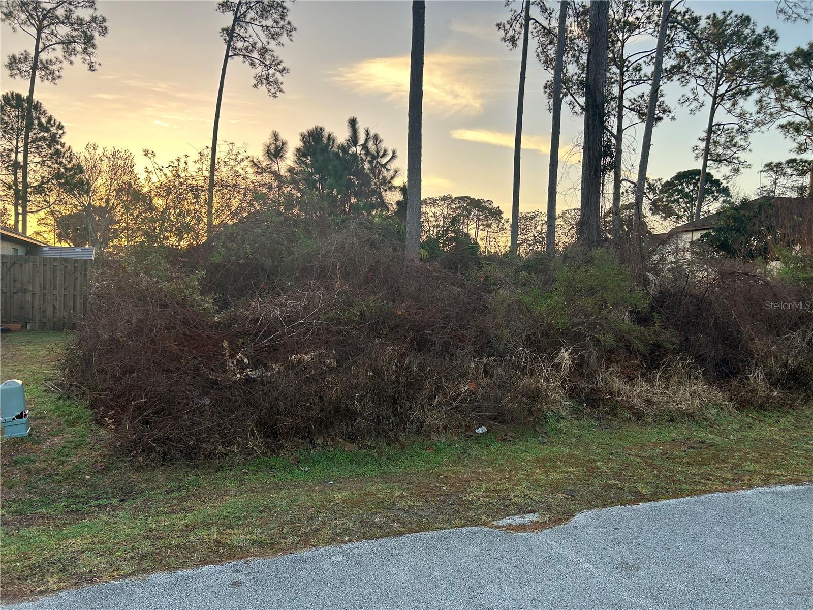 Image 3 of 4 For 9 Peyy Place