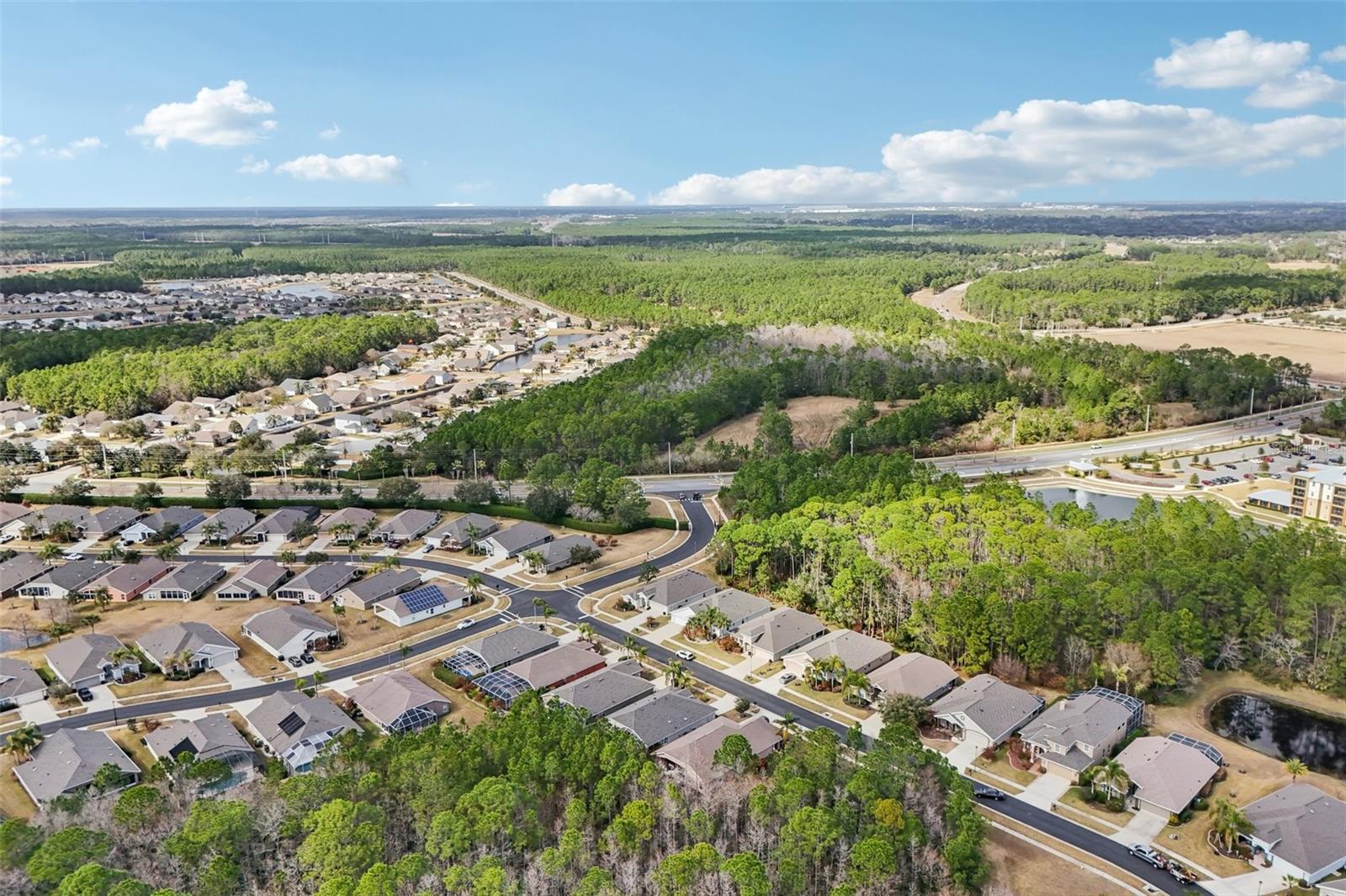 Image 58 of 79 For 1433 Areca Palm Drive