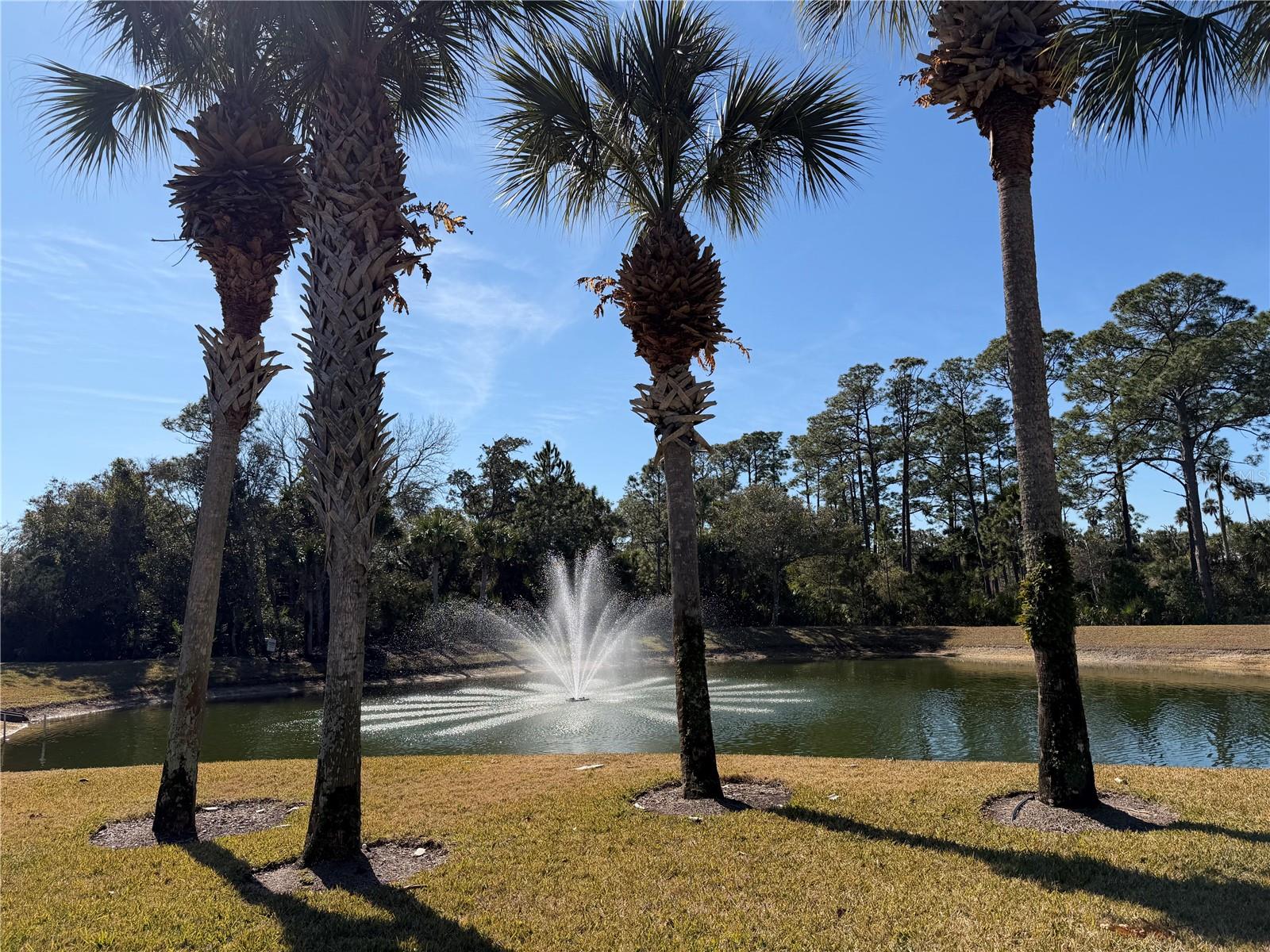 Image 44 of 59 For 74 Heron Drive