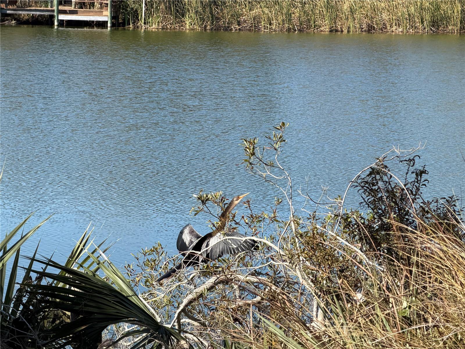 Image 8 of 59 For 74 Heron Drive