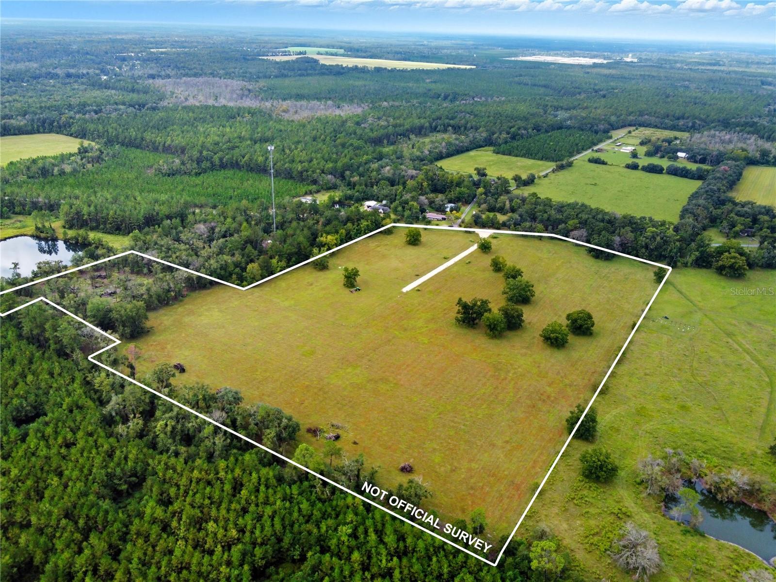 Image 31 of 57 For 11242 Hogan Road