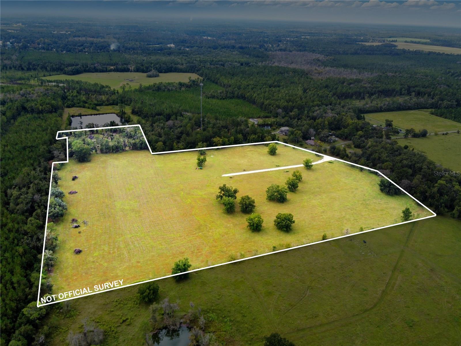 Image 33 of 57 For 11242 Hogan Road