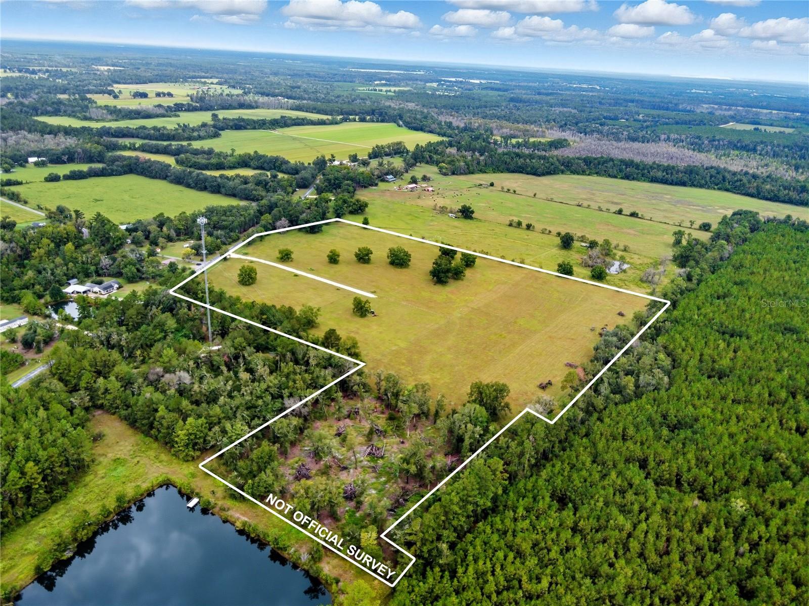 Image 5 of 57 For 11242 Hogan Road