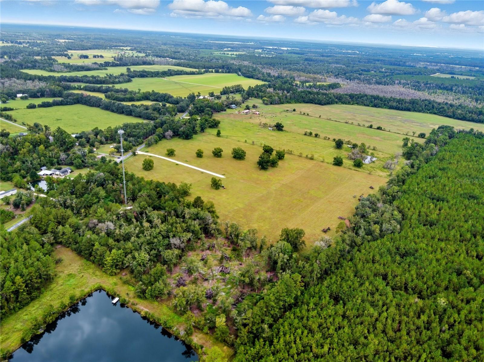 Image 8 of 57 For 11242 Hogan Road