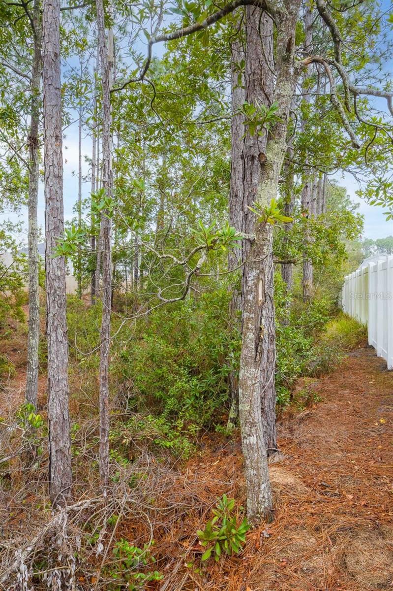 Image 30 of 30 For 42 Woodborn Lane