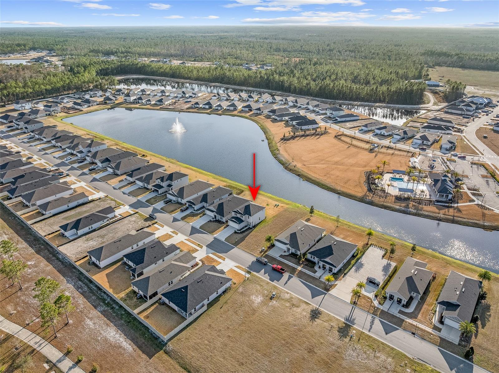 Image 45 of 54 For 55 Camellia Street