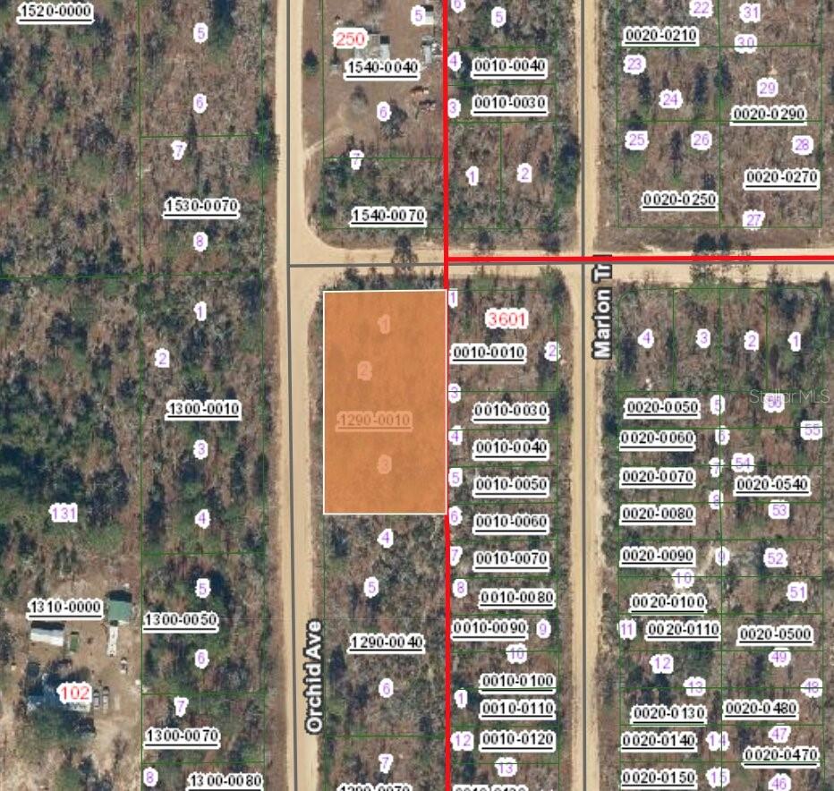 Image 2 of 4 For Xx Orchid Avenue