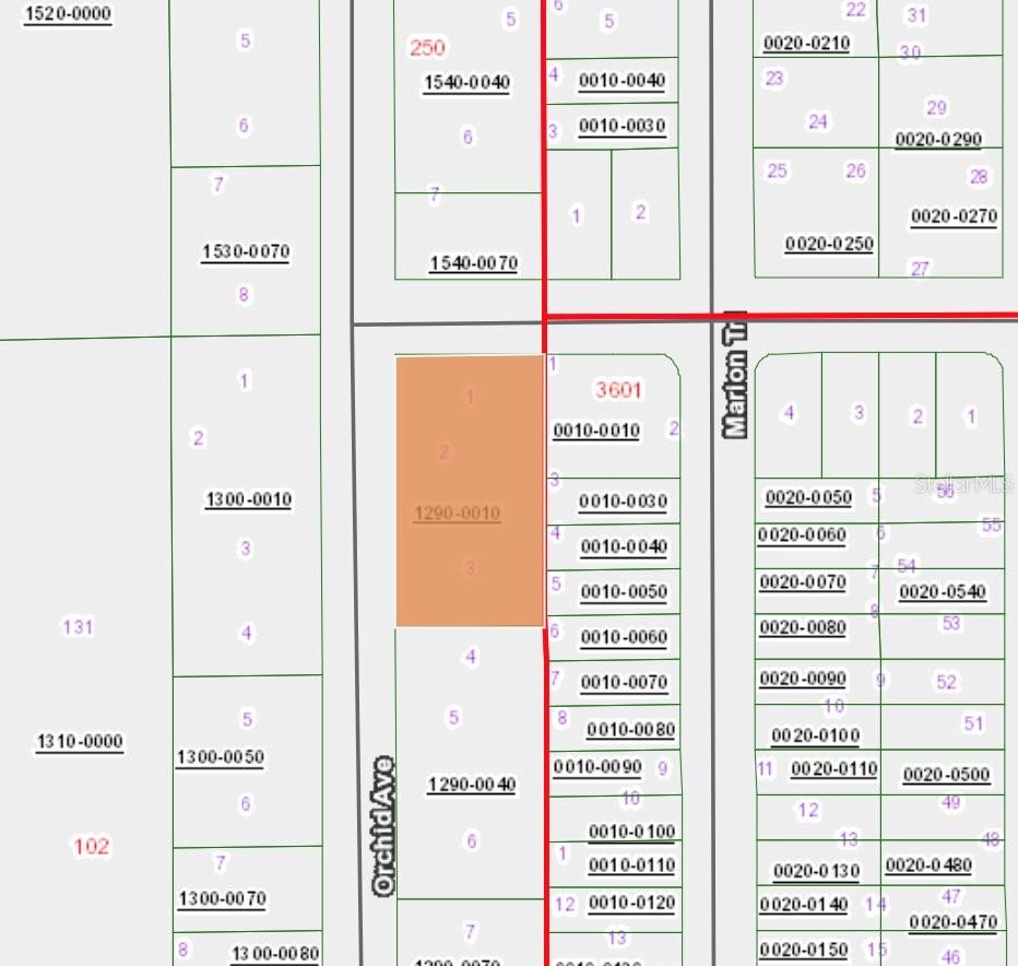Image 3 of 4 For Xx Orchid Avenue