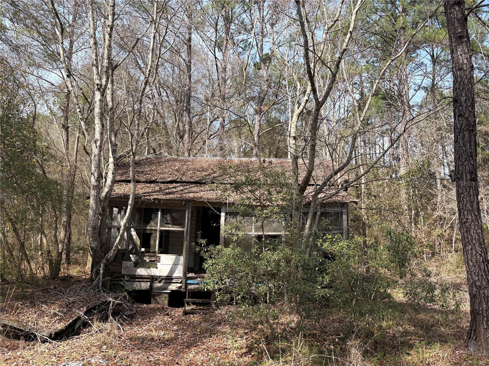 Image 5 of 8 For 4385 Bondarenko Road