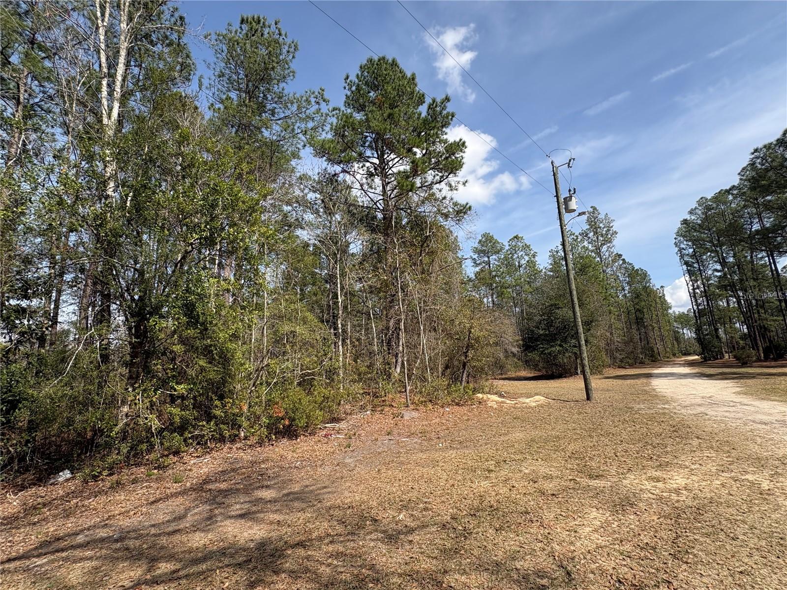 Image 7 of 8 For 4385 Bondarenko Road