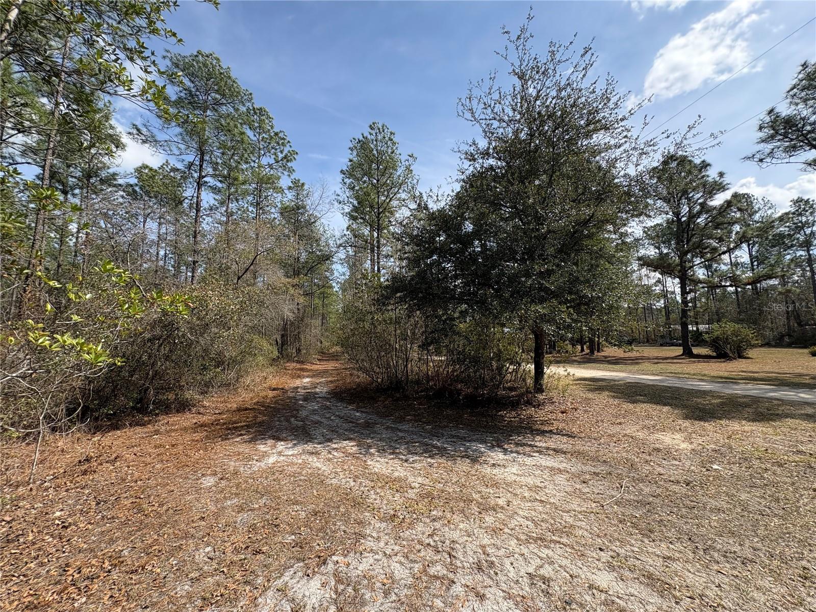 Image 8 of 8 For 4385 Bondarenko Road