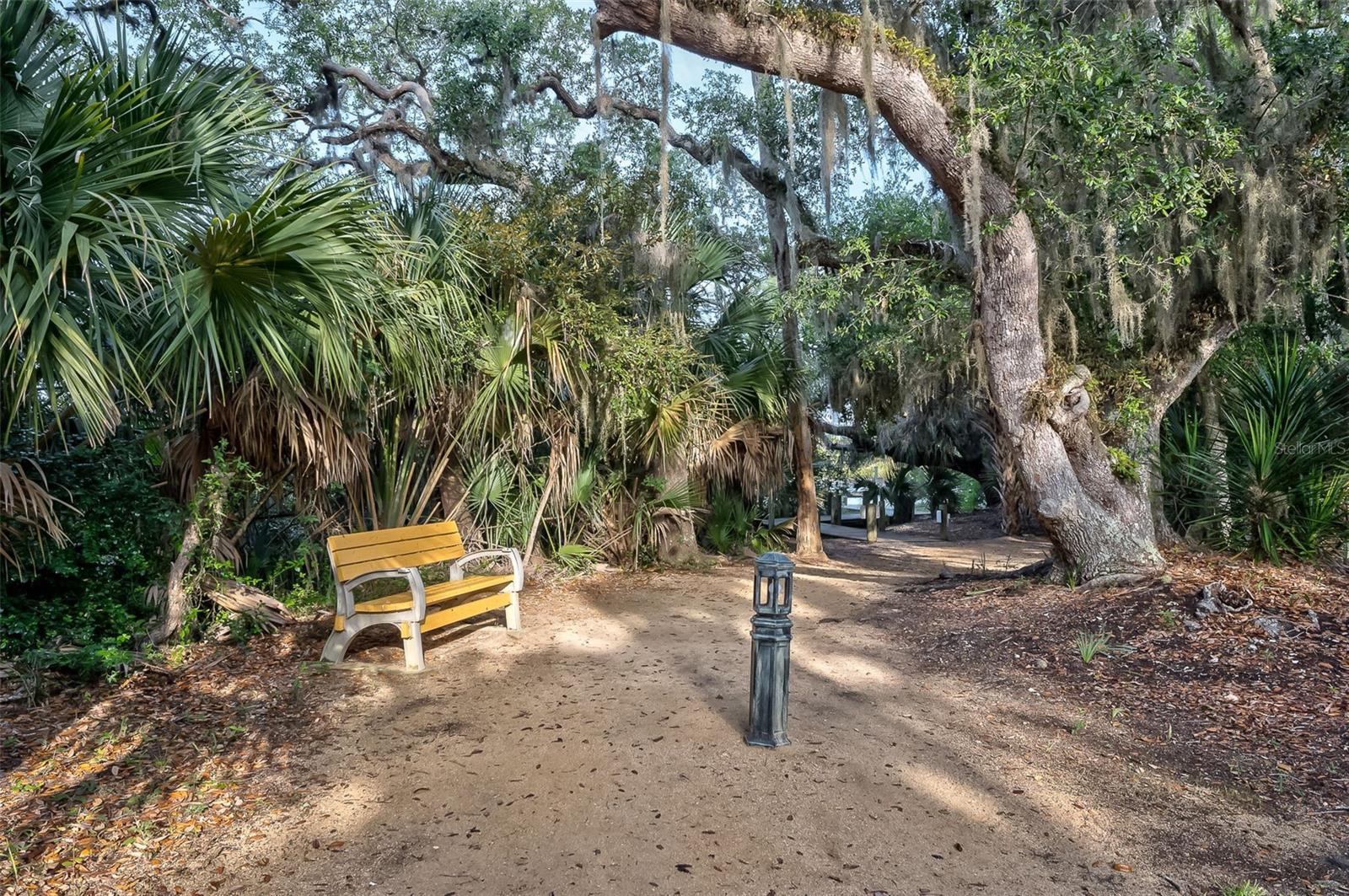 Image 49 of 61 For 34 San Carlos Drive