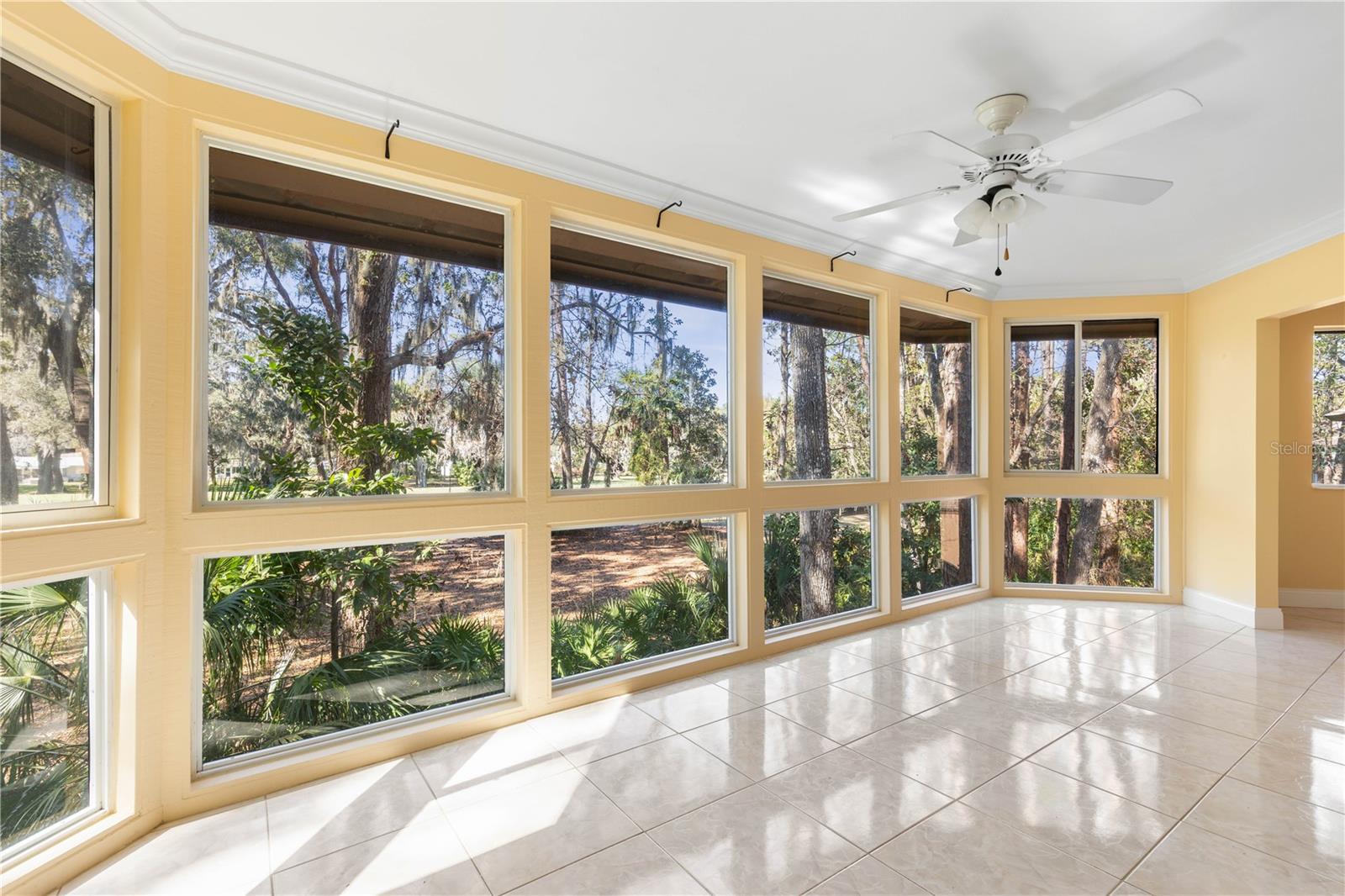 Image 13 of 84 For 24 Pinehurst Place 24