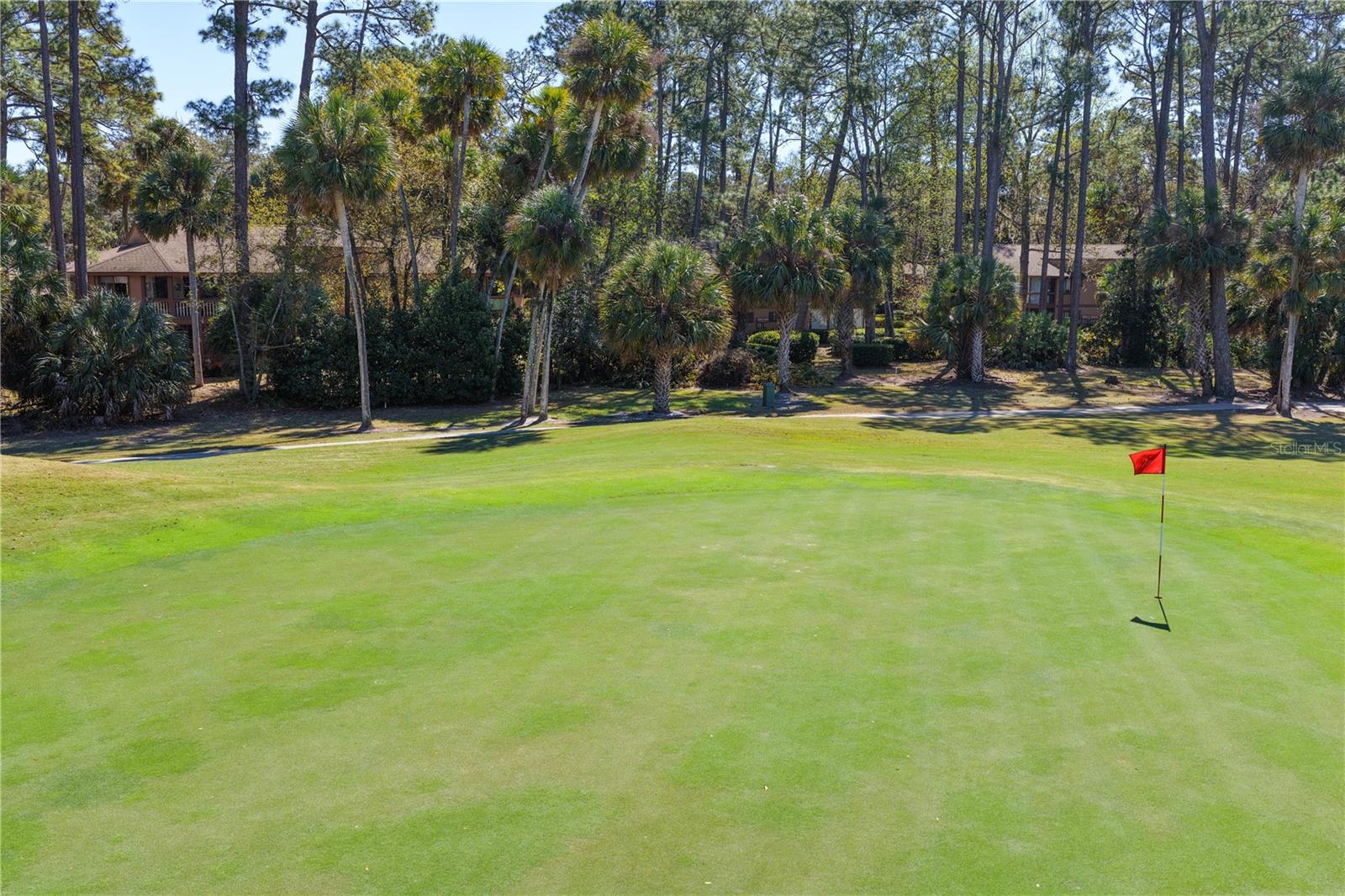 Image 50 of 84 For 24 Pinehurst Place 24