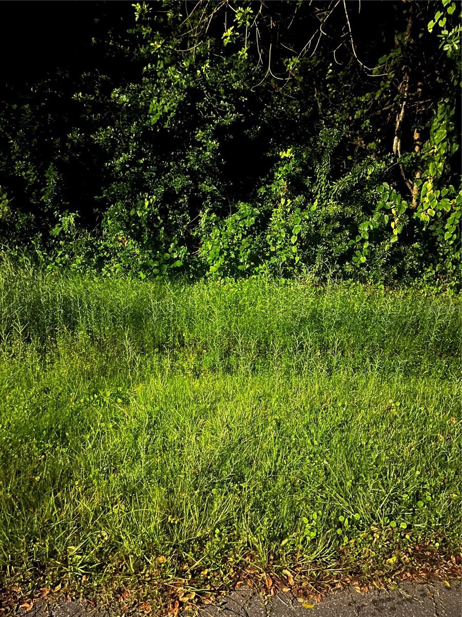 Details for 814 Massy Court, KISSIMMEE, FL 34759