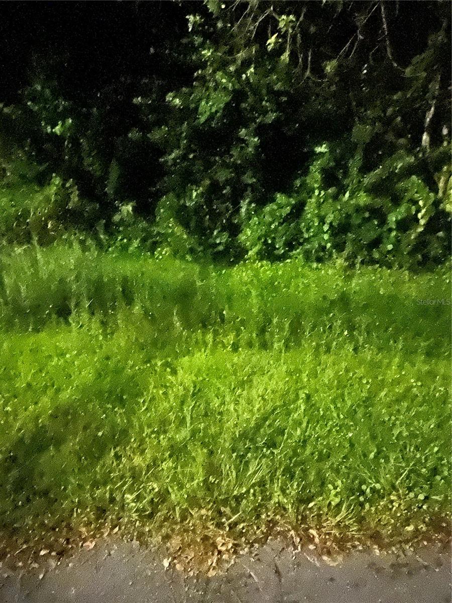 Image 2 of 3 For 814 Massy Court