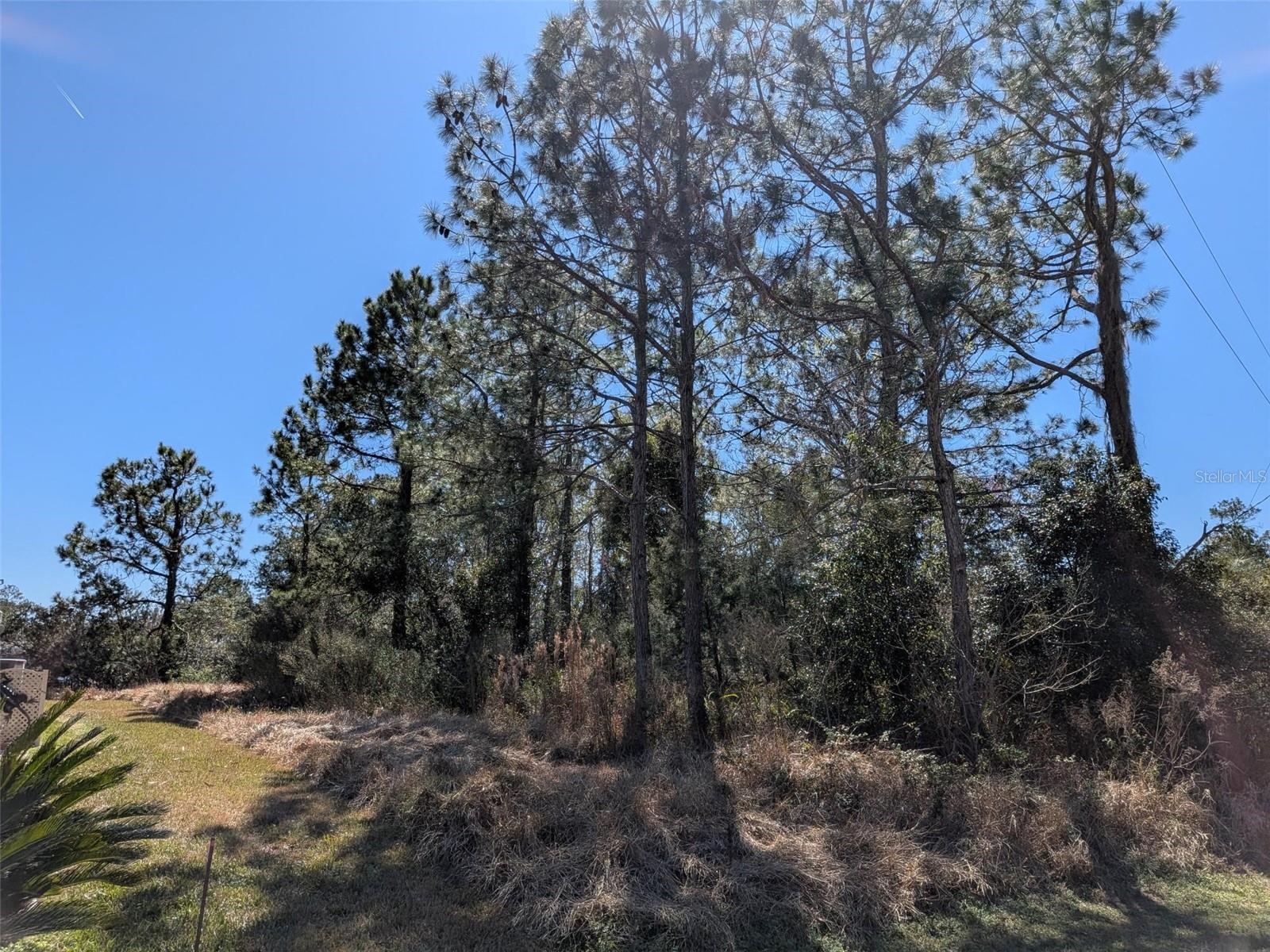 Image 8 of 10 For 26 Kashmir Trail