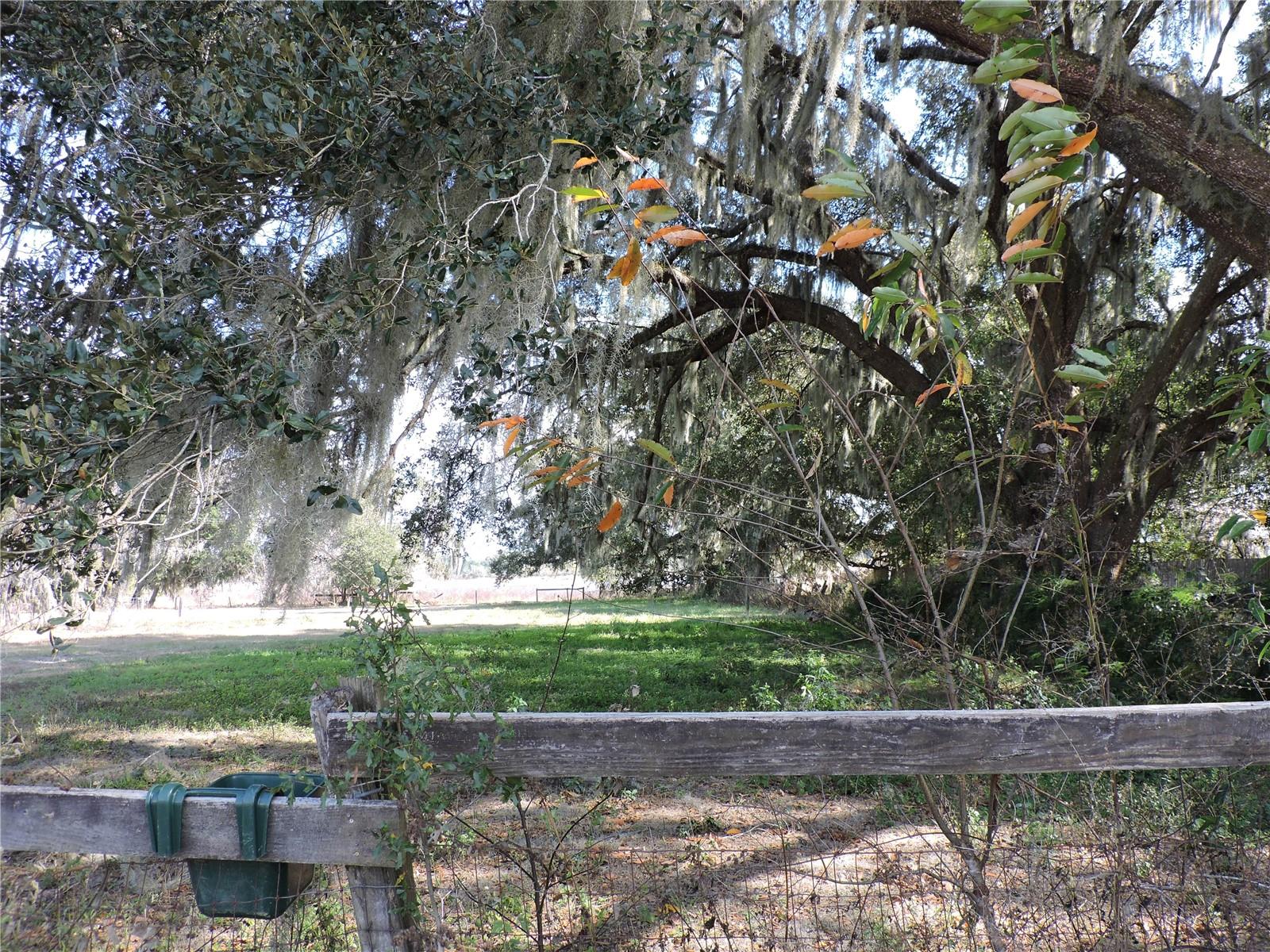 Image 36 of 51 For 148 Denver Road