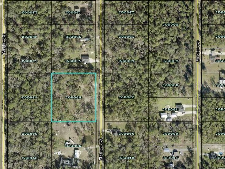 Details for 10055 Flikkema Avenue, HASTINGS, FL 32145