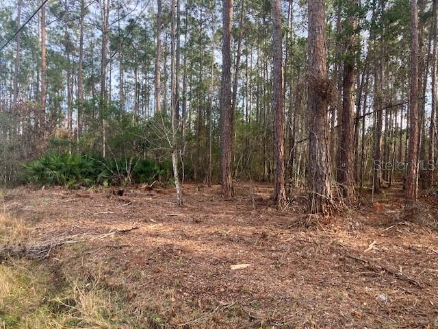 Details for 4515 Mahogany Boulevard, BUNNELL, FL 32110