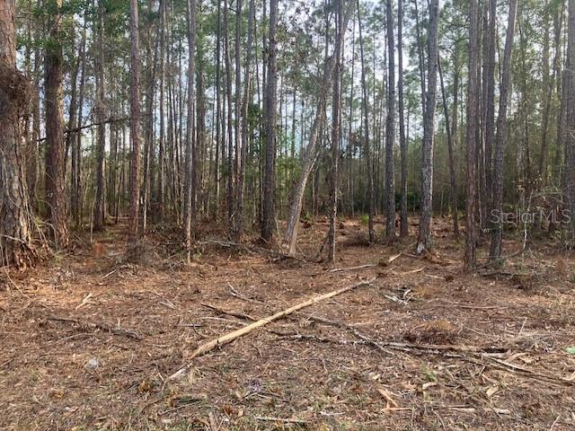 Image 2 of 3 For 4515 Mahogany Boulevard