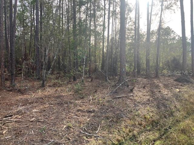 Image 3 of 3 For 4515 Mahogany Boulevard