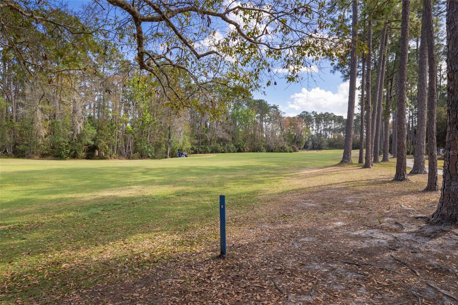 Image 58 of 72 For 25 Egan Drive