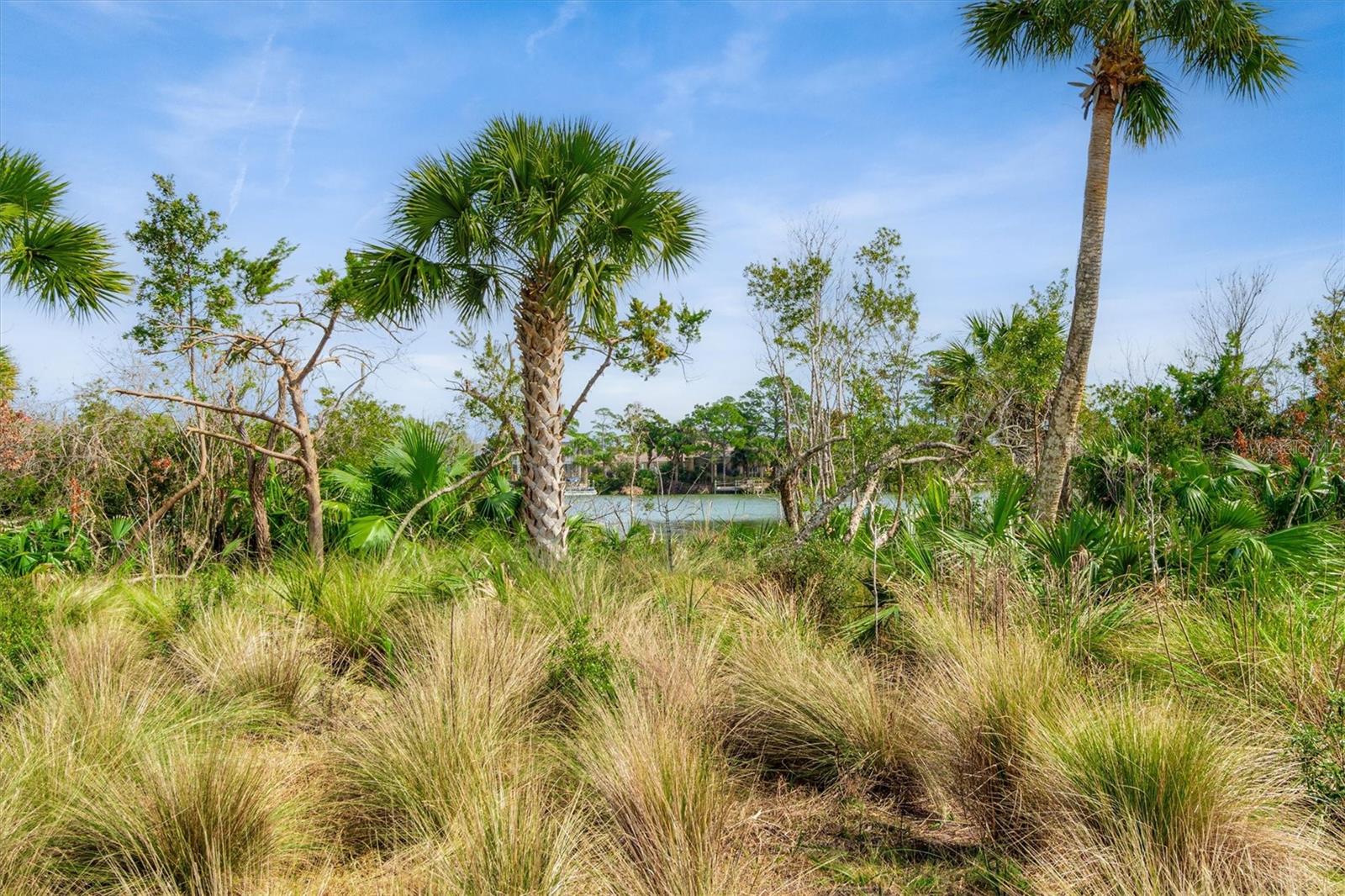 Image 15 of 65 For 82 Lakewalk Drive