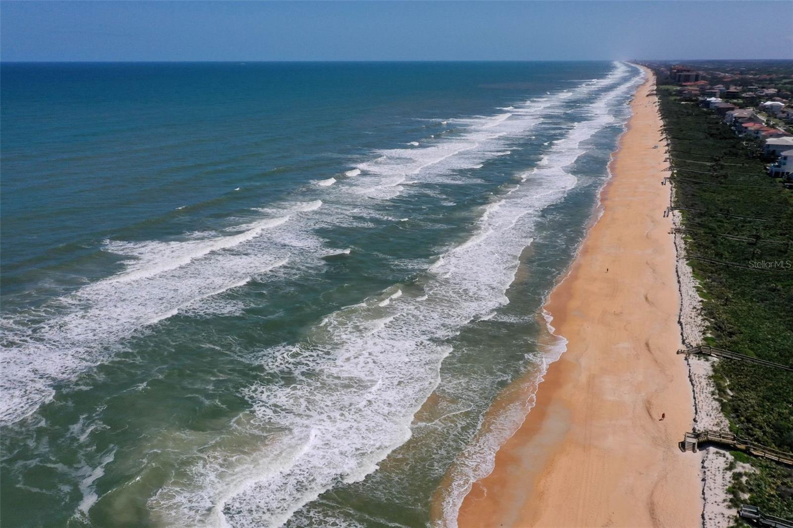 Image 44 of 74 For 1000 Cinnamon Beach Way 934