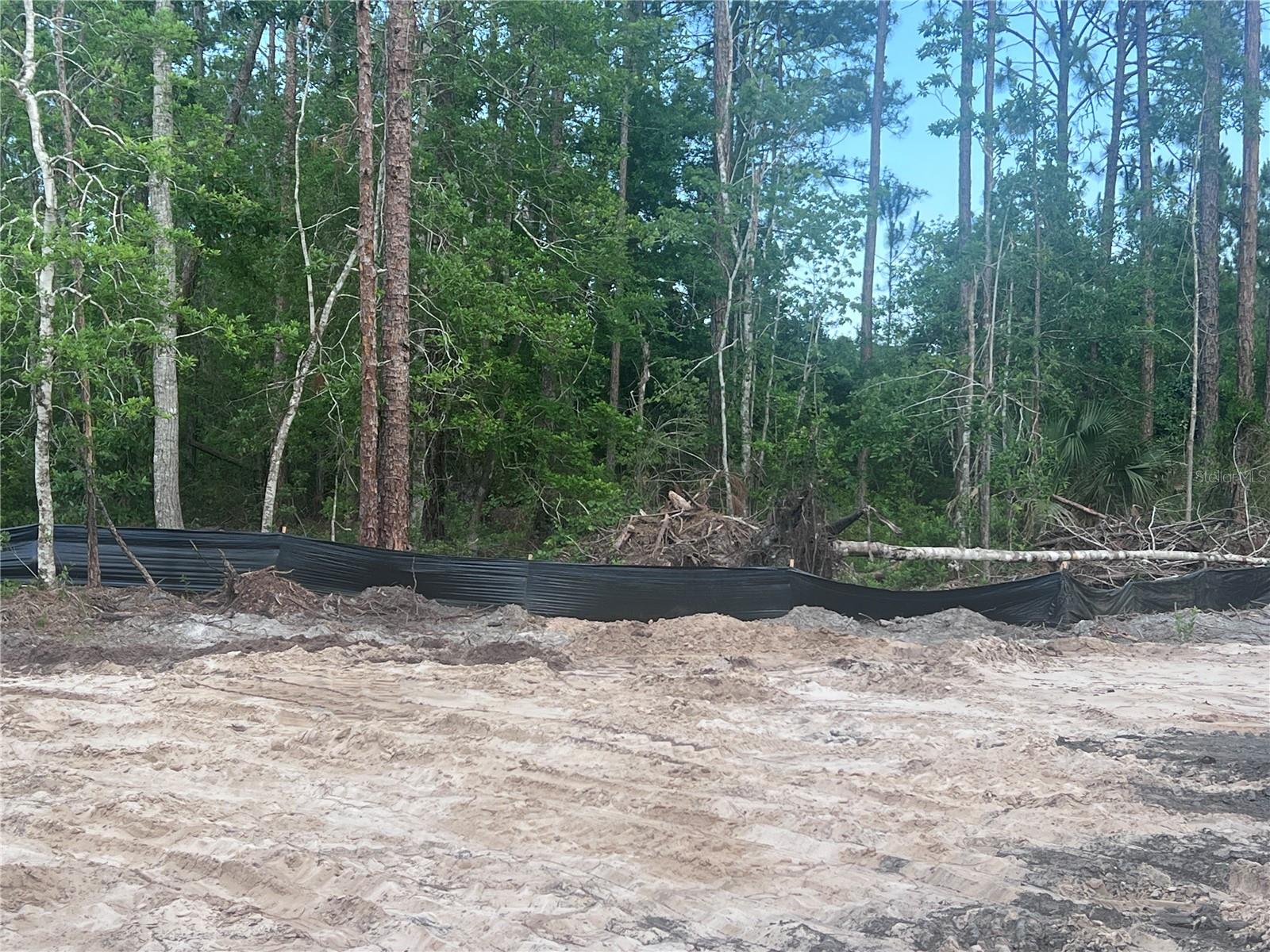 Image 5 of 5 For 2217 Lancewood Street