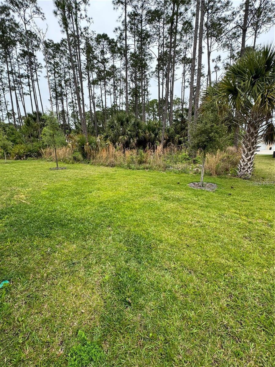 Image 16 of 17 For 44 Red Mill Drive B