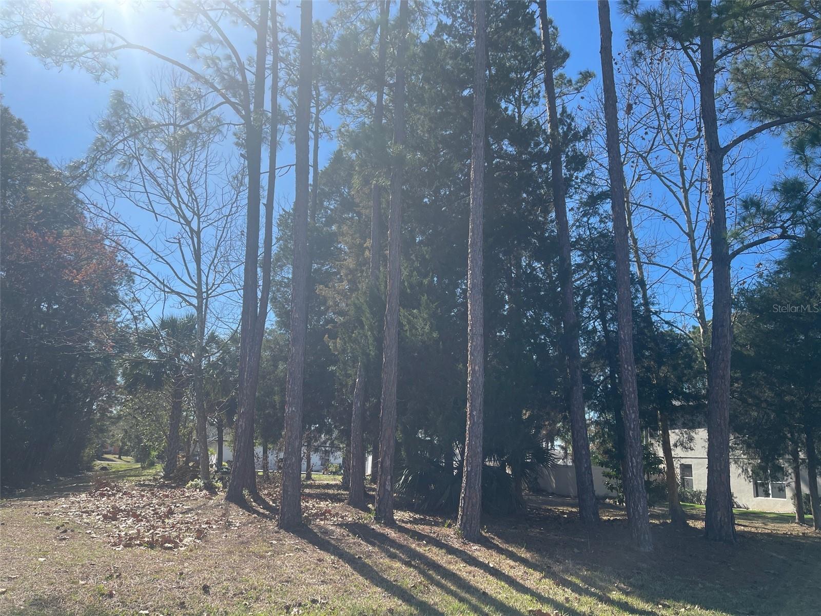 Image 2 of 3 For 60 Birchwood Drive