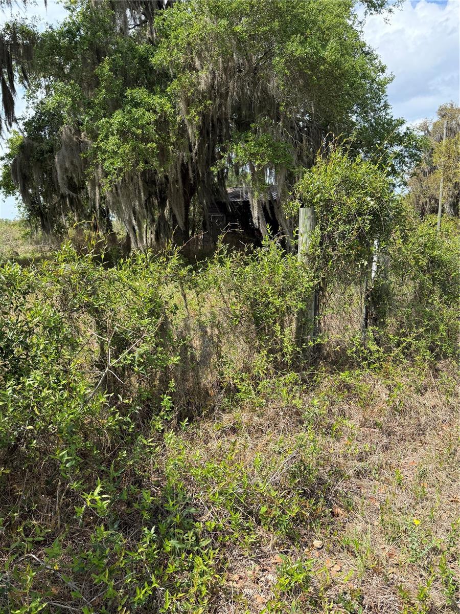 Image 3 of 8 For 14575 State Hwy 100 Highway