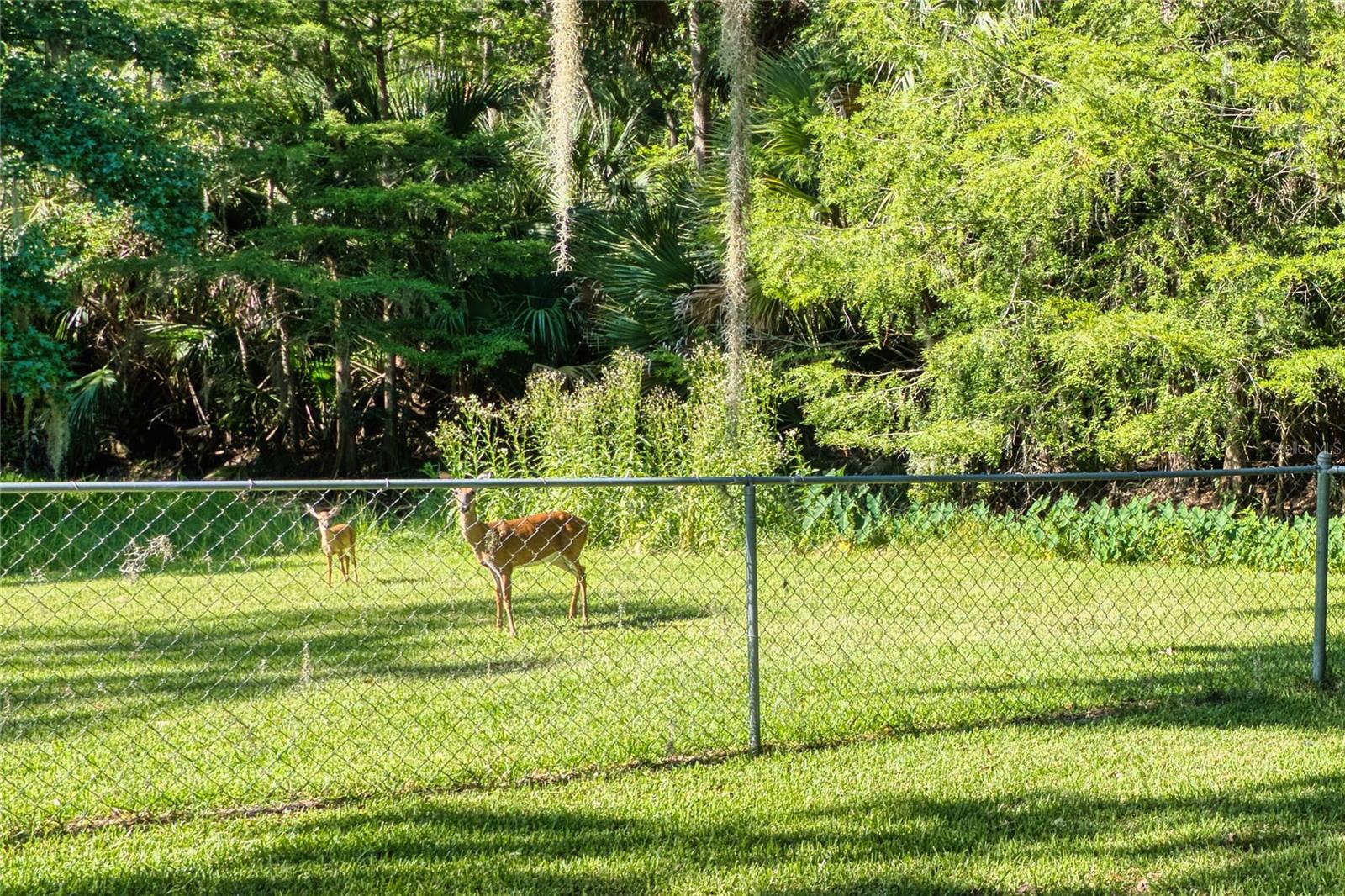 Image 25 of 62 For 14 Black Oak Court