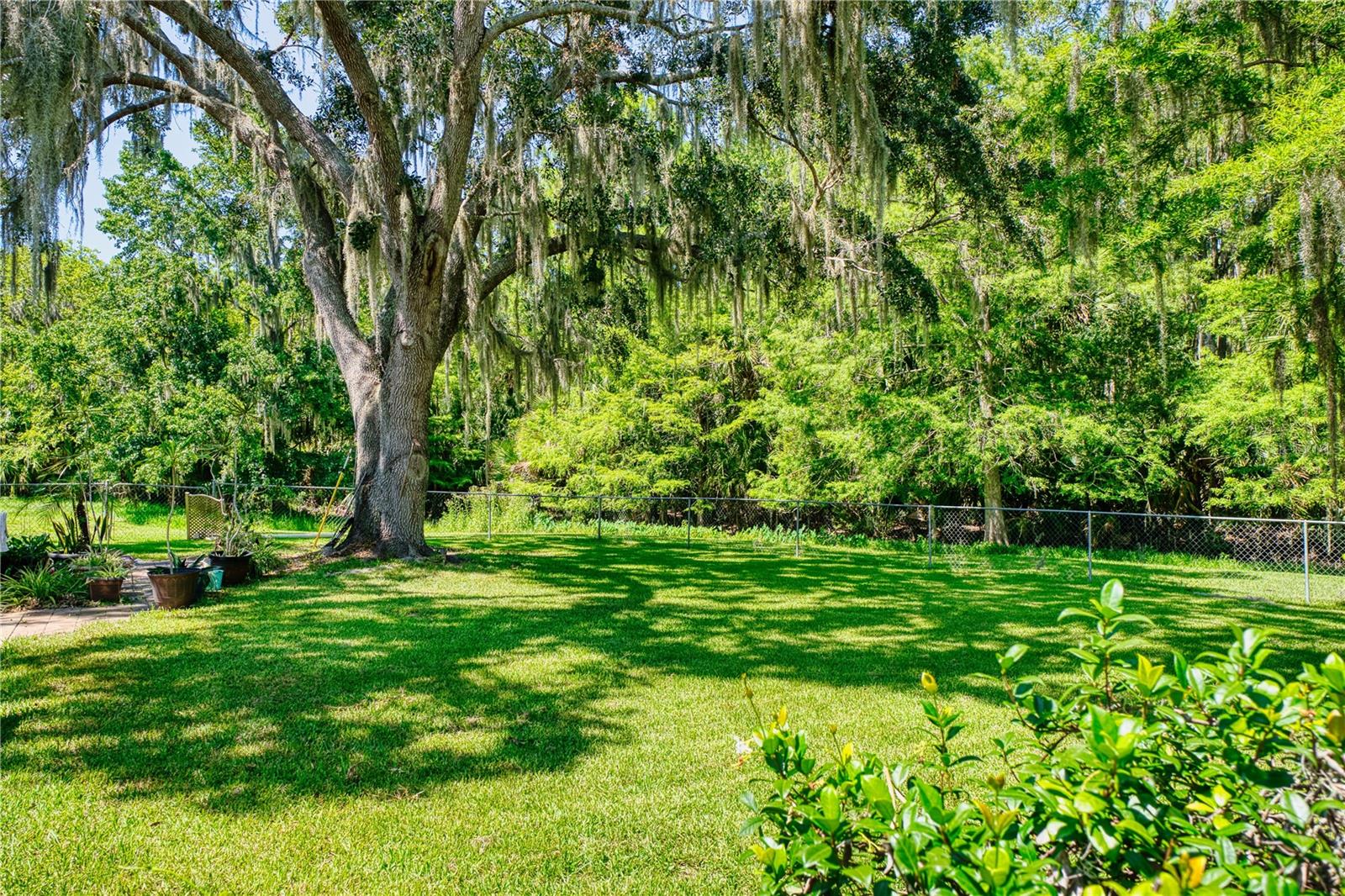 Image 26 of 62 For 14 Black Oak Court